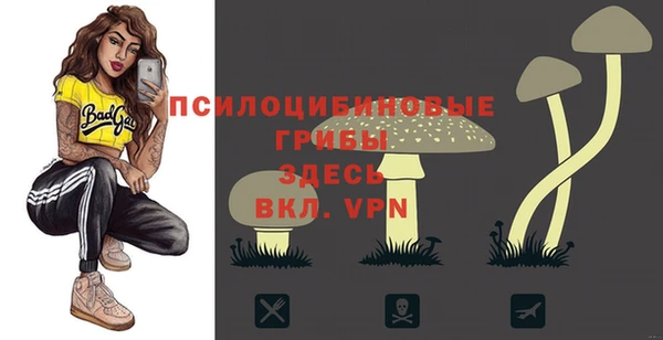 MDMA Premium VHQ Медногорск
