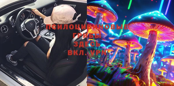 apvp Михайлов