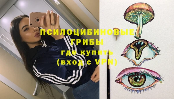 твердый Медвежьегорск