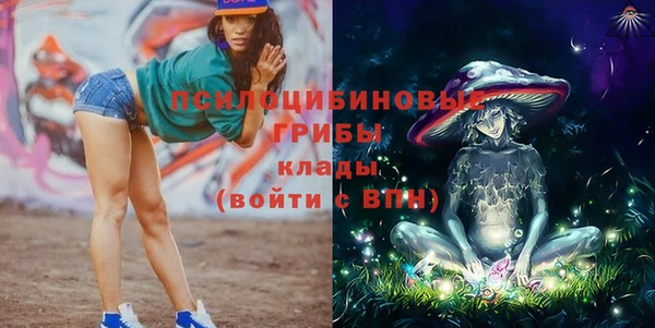 apvp Михайлов
